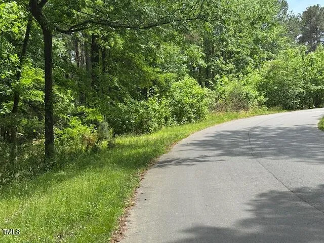 a view of a yard with plants and a trees