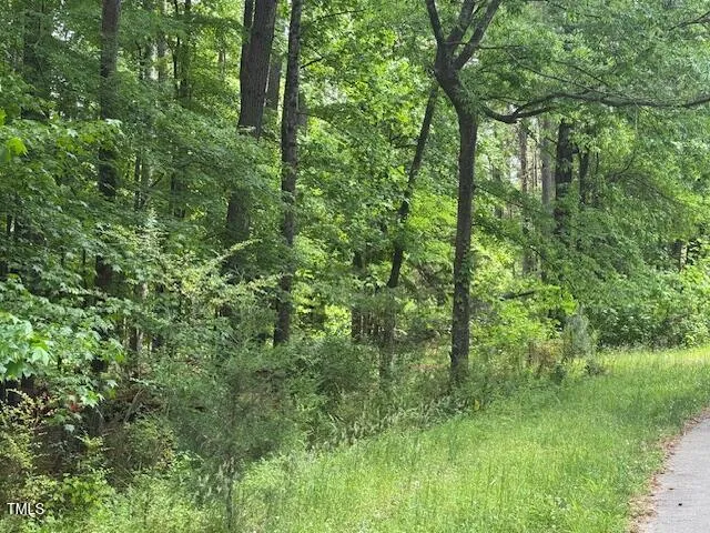 a view of a lush green forest