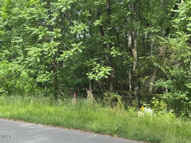 a view of a lush green forest