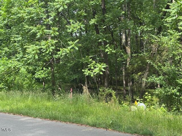 103 Spring Blossom Lane Durham, NC 27705 - Photo 8 of 10 a view of a lush green forest