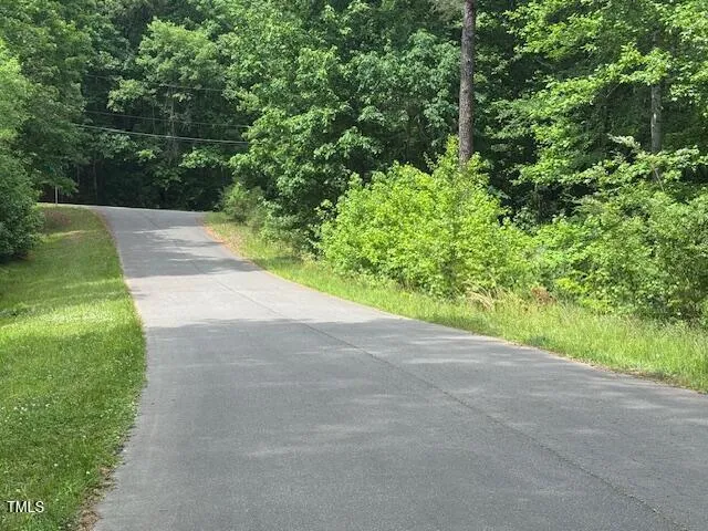 a view of a yard with plants and large trees