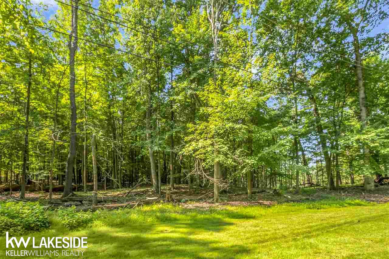 1294 Concord Road Rochester, MI 48309 - Photo 49 of 58 31390829-48.JPG