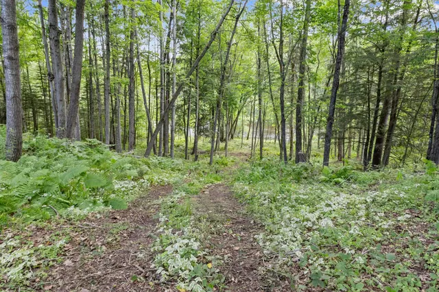 $1,099,000 | W14145 County Road C, Athelstane, WI 54104