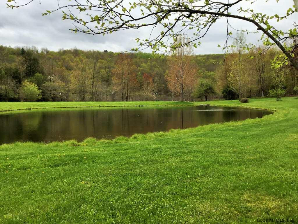176 Meade Road Charlotteville, NY 12036 - Photo 11 of 65 Photo 11