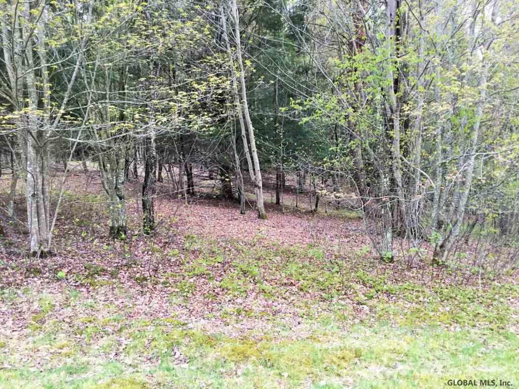 176 Meade Road Charlotteville, NY 12036 - Photo 15 of 65 Photo 15