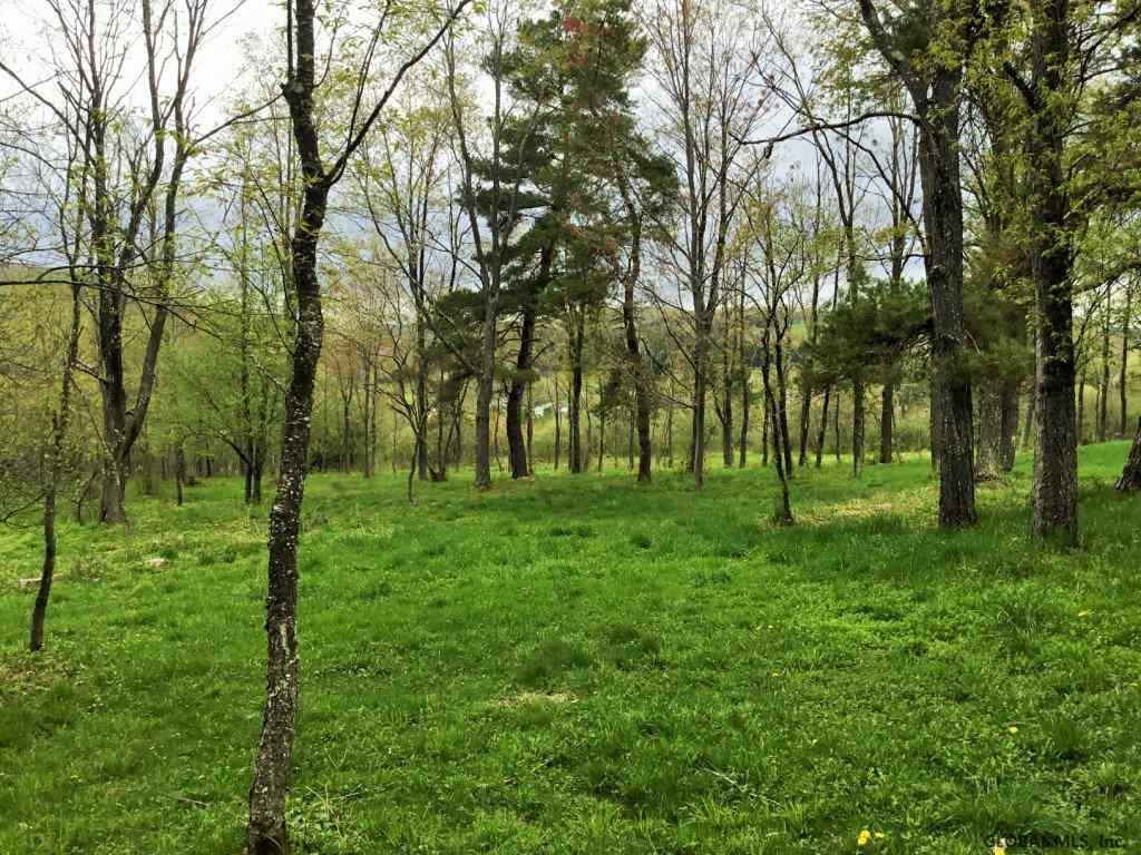 176 Meade Road Charlotteville, NY 12036 - Photo 18 of 65 Photo 18
