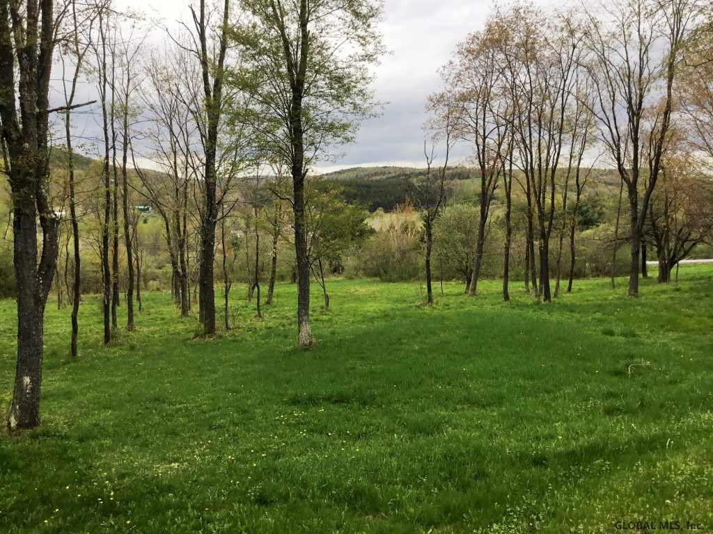 176 Meade Road Charlotteville, NY 12036 - Photo 19 of 65 Photo 19