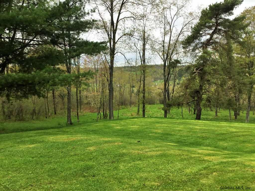 176 Meade Road Charlotteville, NY 12036 - Photo 27 of 65 Photo 27