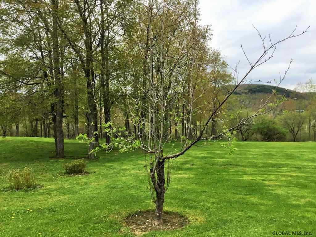 176 Meade Road Charlotteville, NY 12036 - Photo 29 of 65 Photo 29