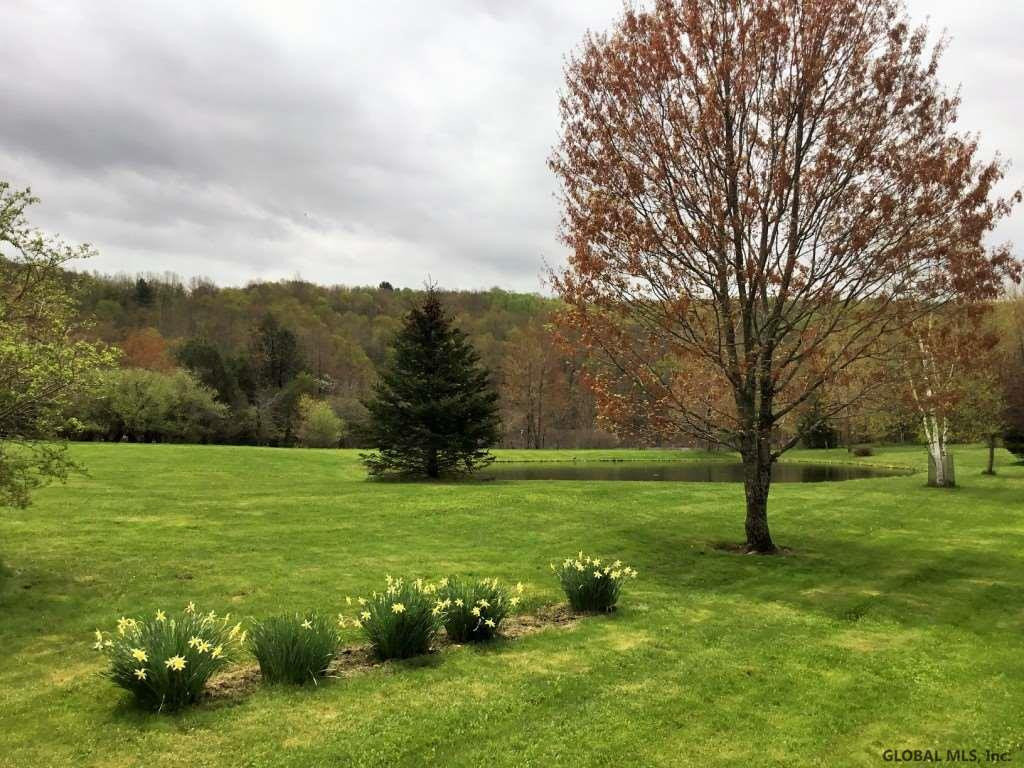176 Meade Road Charlotteville, NY 12036 - Photo 9 of 65 Photo 9