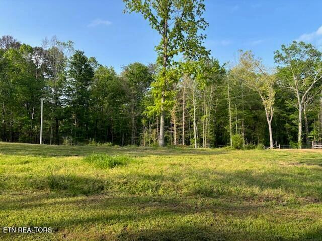 4080 Big Spring Gap Road Pikeville, TN 37367 - Photo 20 of 35 20250509210523603151000000-o