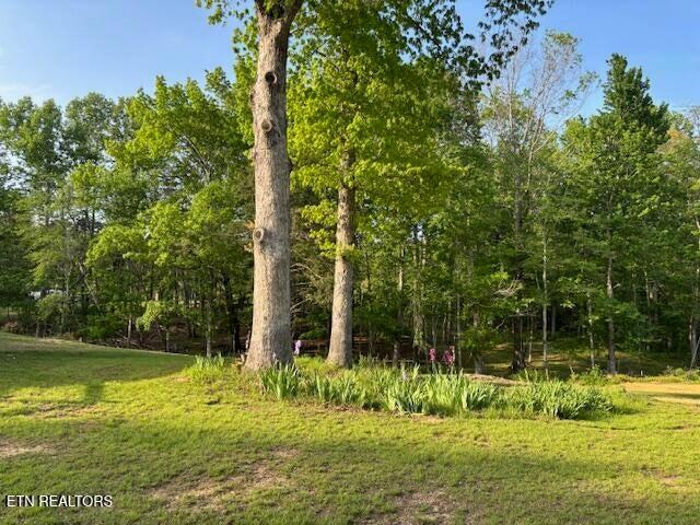 4080 Big Spring Gap Road Pikeville, TN 37367 - Photo 21 of 35 20250509210524893463000000-o