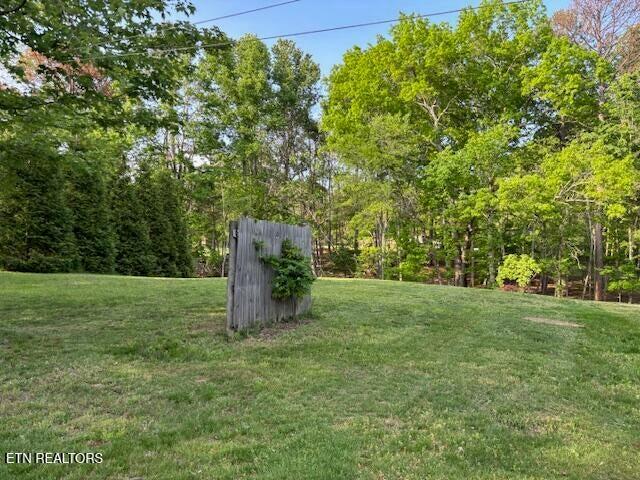 4080 Big Spring Gap Road Pikeville, TN 37367 - Photo 23 of 35 20250509210527262068000000-o