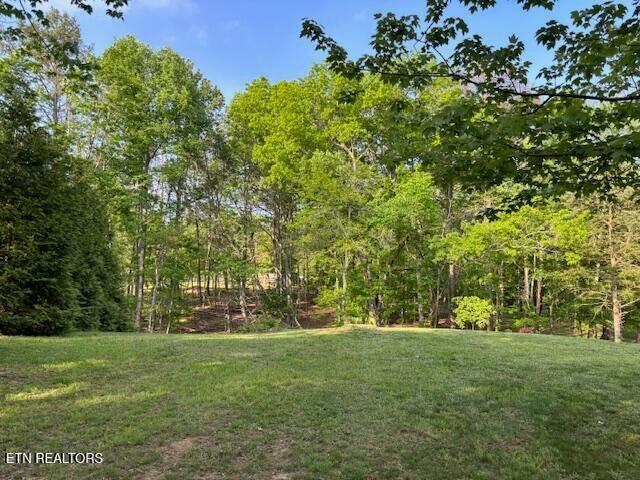 4080 Big Spring Gap Road Pikeville, TN 37367 - Photo 24 of 35 20250509210528483966000000-o