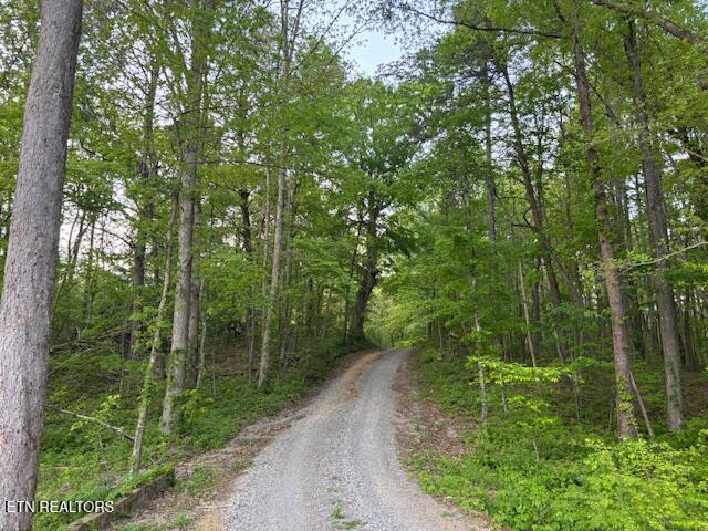 4080 Big Spring Gap Road Pikeville, TN 37367 - Photo 35 of 35 20250509210554872438000000-o