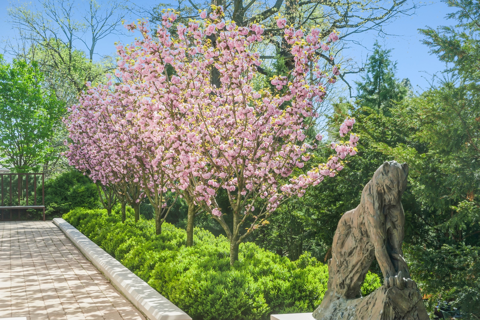930 Lake Road Lake Forest, IL 60045 - Photo 40 of 51 a view of a yard with plants and large trees