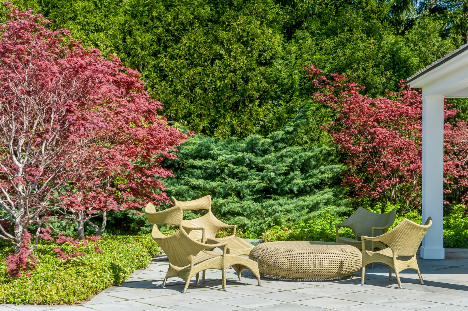 930 Lake Road Lake Forest, IL 60045 - Photo 43 of 51 a view of a chairs and table in a backyard