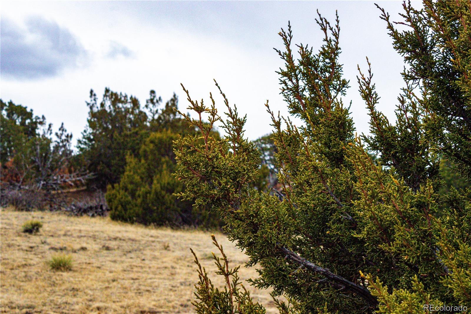 L127 Twin Lakes Road Walsenburg, CO 81089 - Photo 23 of 40 Gallery Image 23