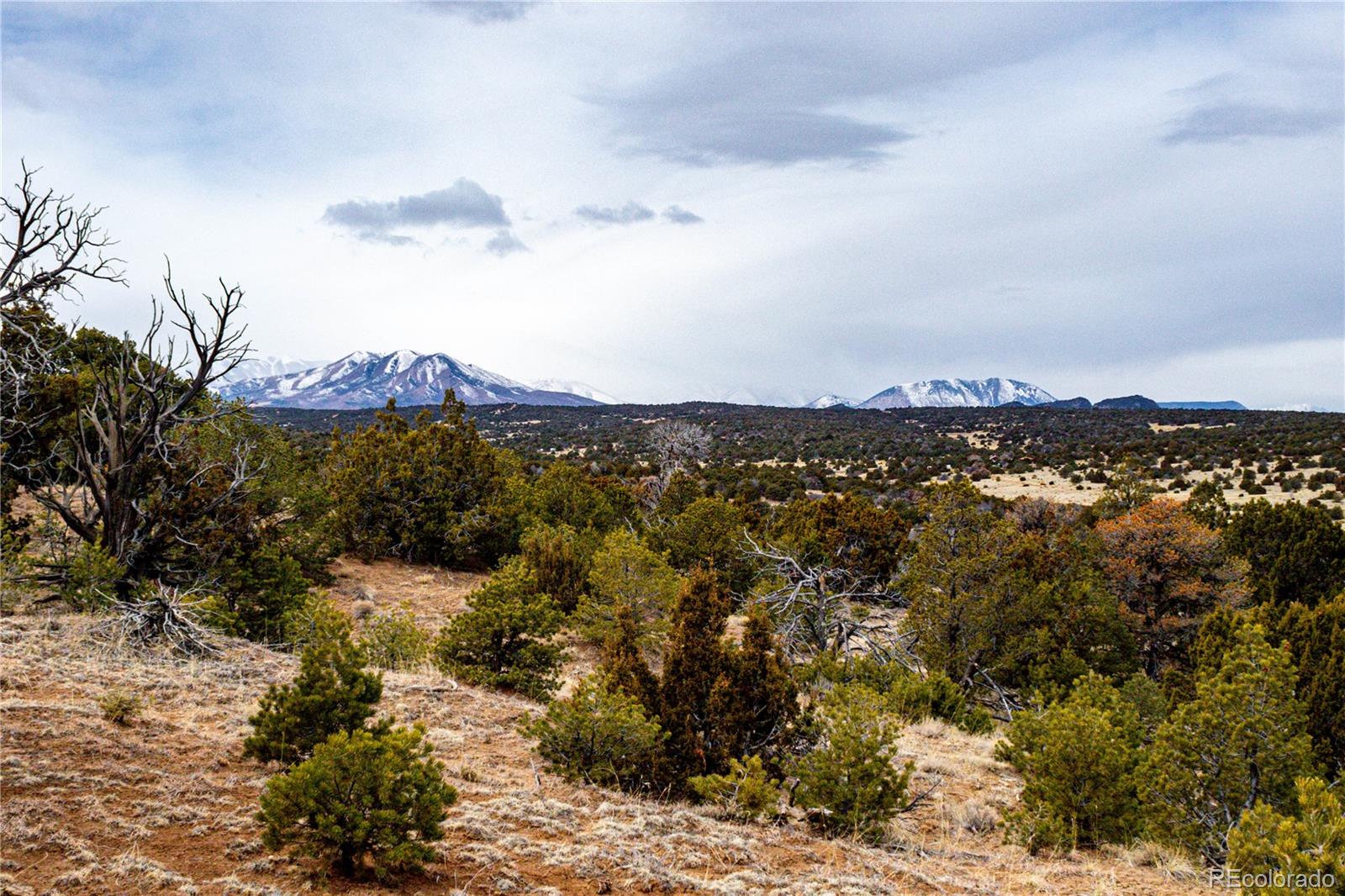 L127 Twin Lakes Road Walsenburg, CO 81089 - Photo 3 of 40 Gallery Image 3