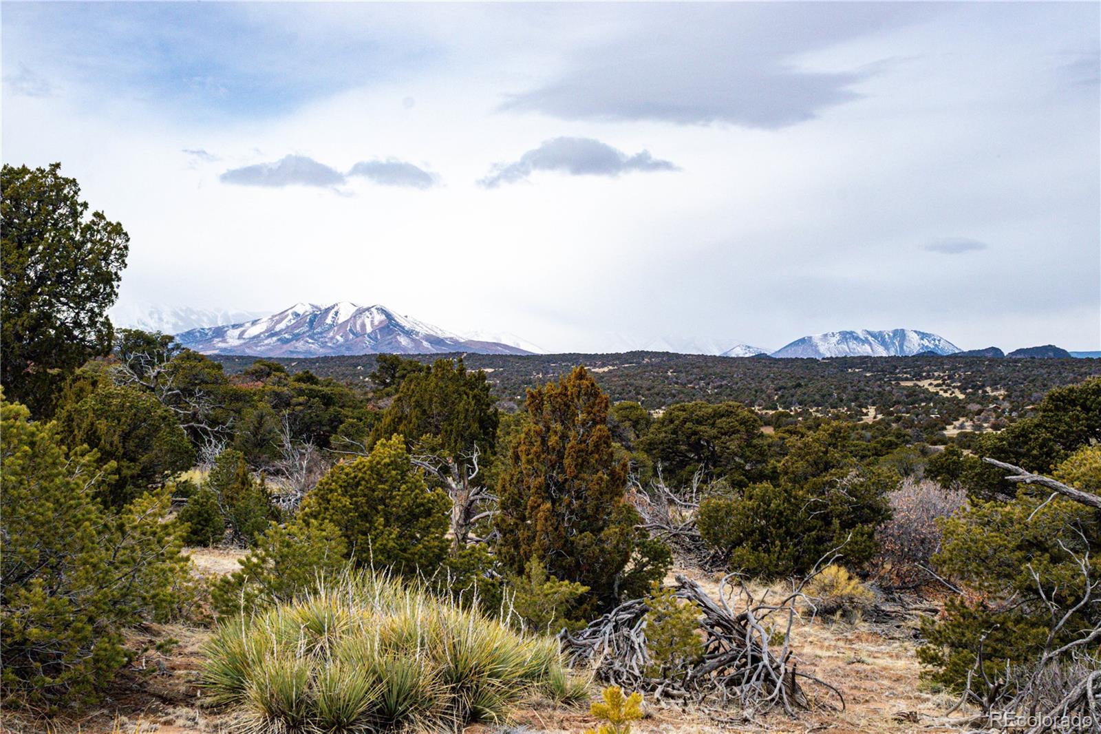 L127 Twin Lakes Road Walsenburg, CO 81089 - Photo 4 of 40 Gallery Image 4