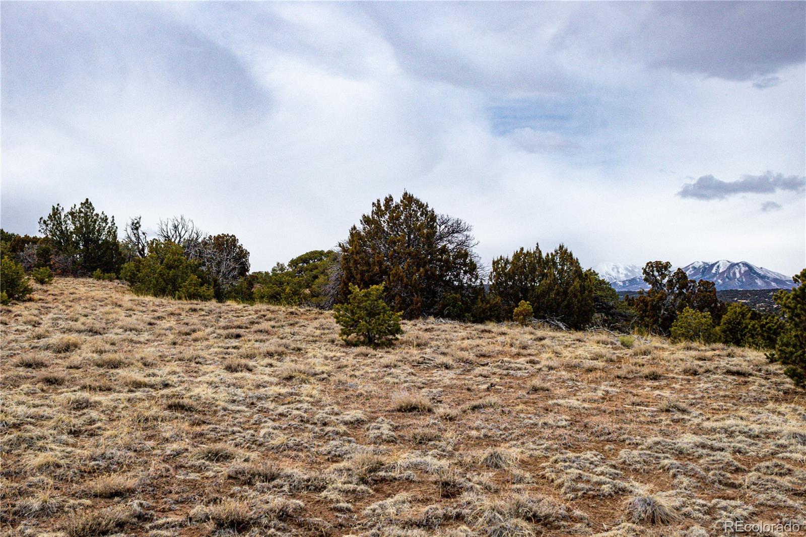 L127 Twin Lakes Road Walsenburg, CO 81089 - Photo 8 of 40 Gallery Image 8