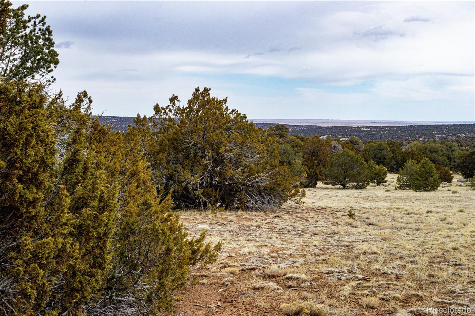 L127 Twin Lakes Road Walsenburg, CO 81089 - Photo 9 of 40 Gallery Image 9