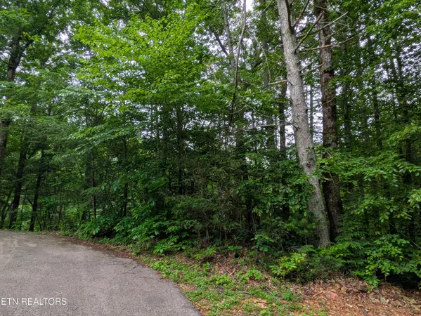 $125,000 | 438 Kurts Corner Road, Townsend, TN 37882