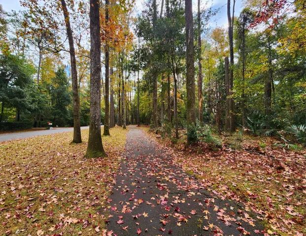 $50,000 | 141 Bull Point Drive, Seabrook, SC 29940