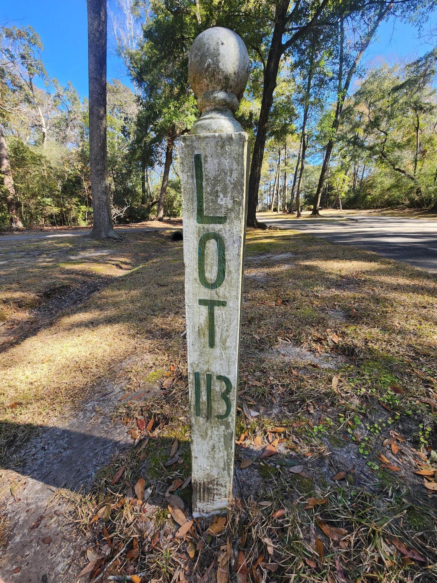 141 Bull Point Drive Seabrook, SC 29940 - Photo 7 of 92 141 Bull Point Lot Marker