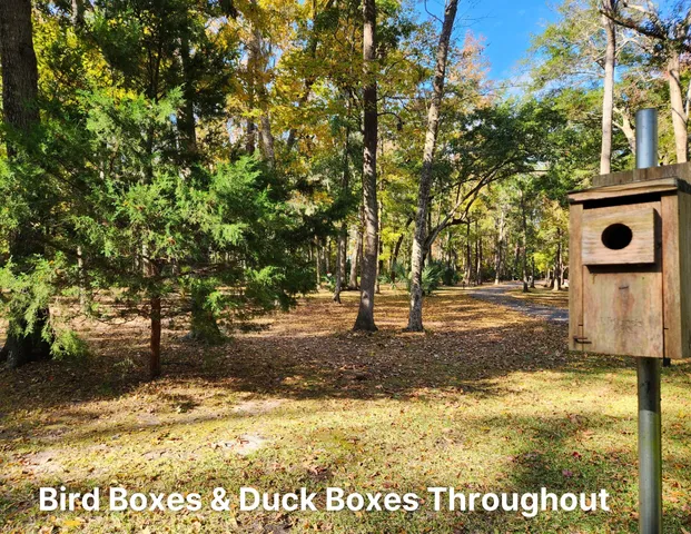 $50,000 | 141 Bull Point Drive, Seabrook, SC 29940