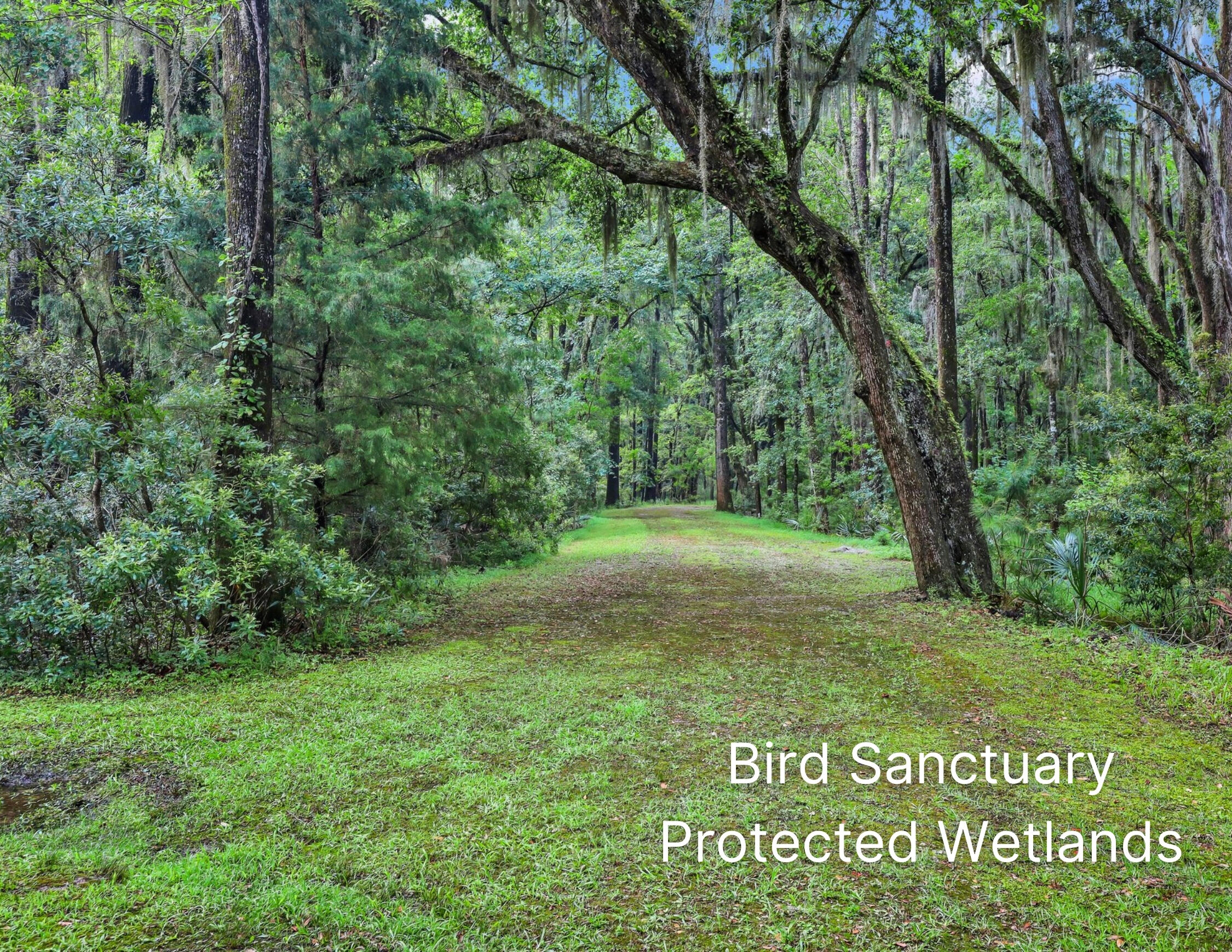 141 Bull Point Drive Seabrook, SC 29940 - Photo 82 of 92 75