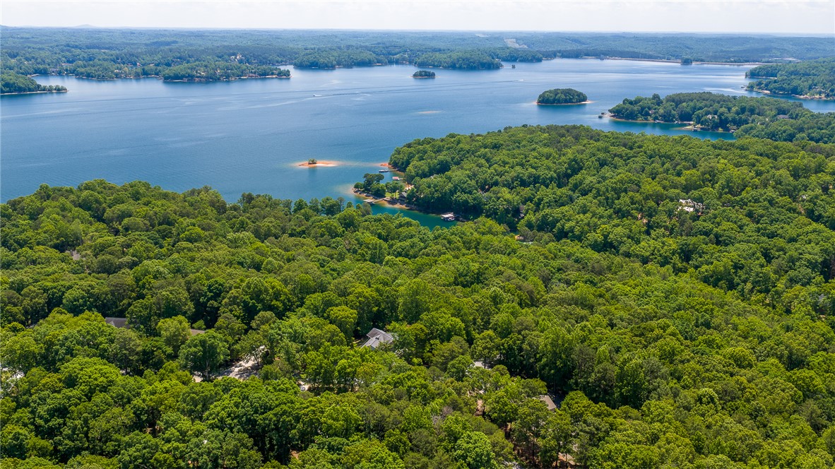 118 Beacon Ridge Circle Salem, SC 29676 - Photo 45 of 45 Lush woodlands embrace a serene lake, dotted with islands and residential havens.
