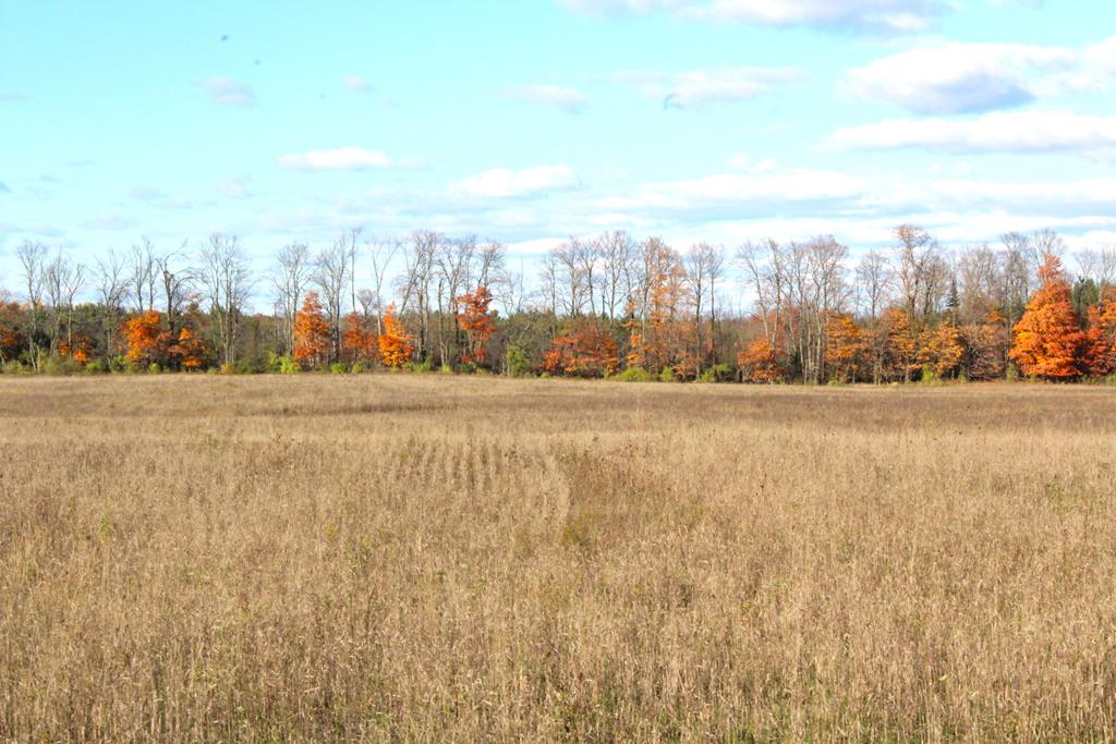 N Lot North Lot County Road Sister Bay, WI 54234 - Photo 10 of 10