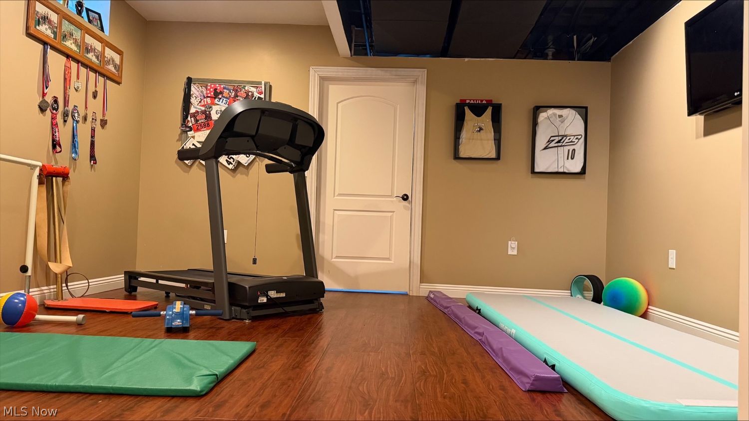 6781 Kyle Ridge Pointe Canfield, OH 44406 - Photo 25 of 29 Basement exercise room or another bedroom