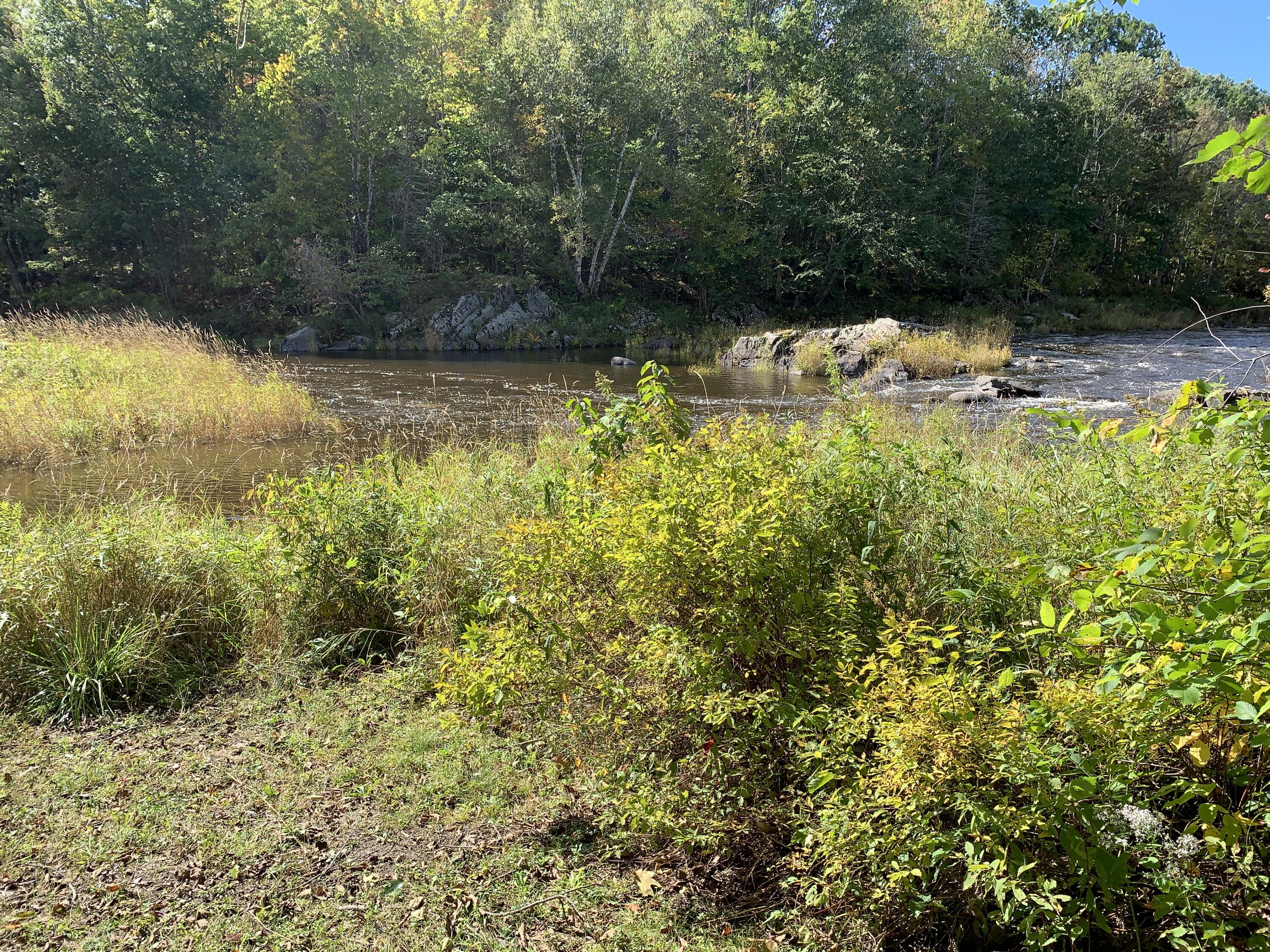 815 Grant Road Corinth, ME 04427 - Photo 58 of 66 IMG_4257