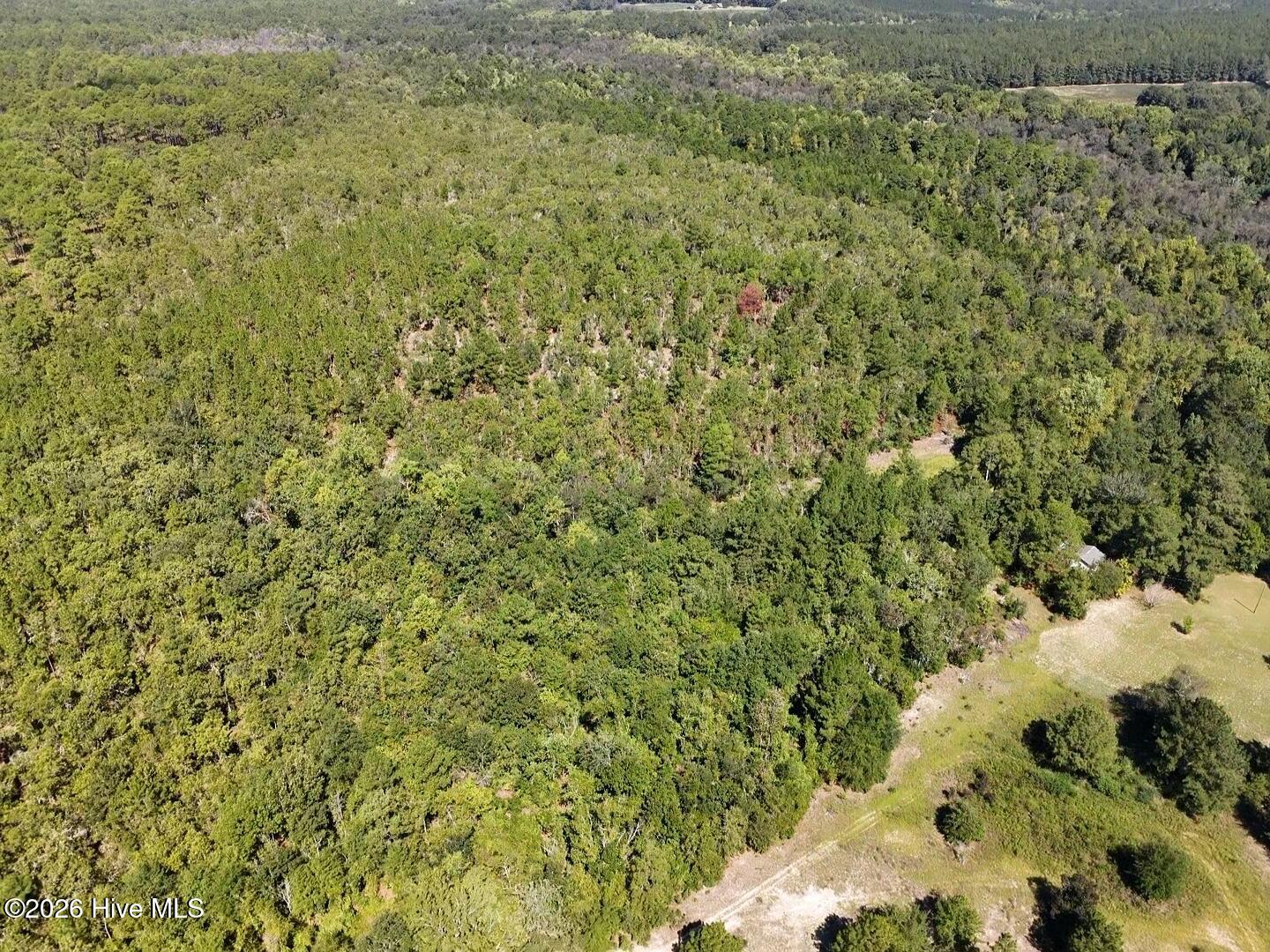 1 Marston Road Laurel Hill, NC 28351 - Photo 8 of 16 Gallery Image 8