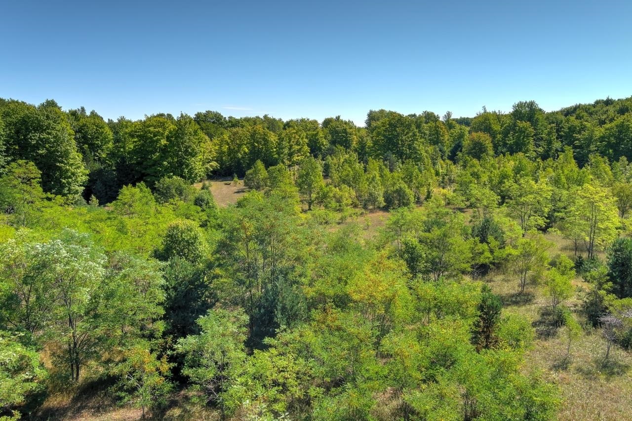 A3 Wallaker Road, Unit LOT: A3 Benzonia, MI 49616 - Photo 4 of 17