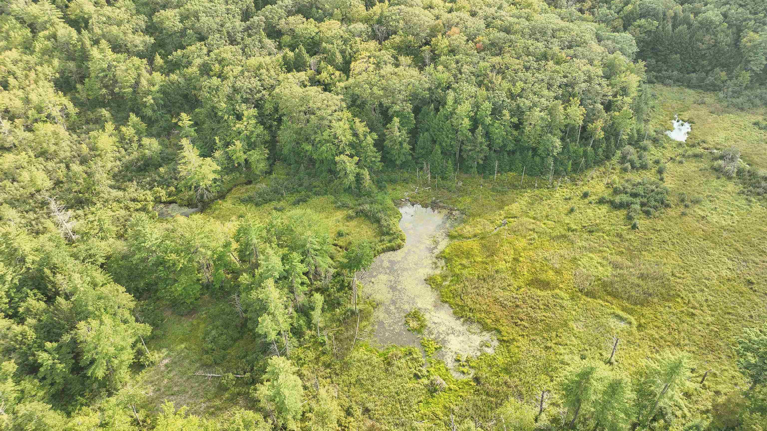 50 Mulhall Farm Road Antrim, NH 03440 - Photo 6 of 28