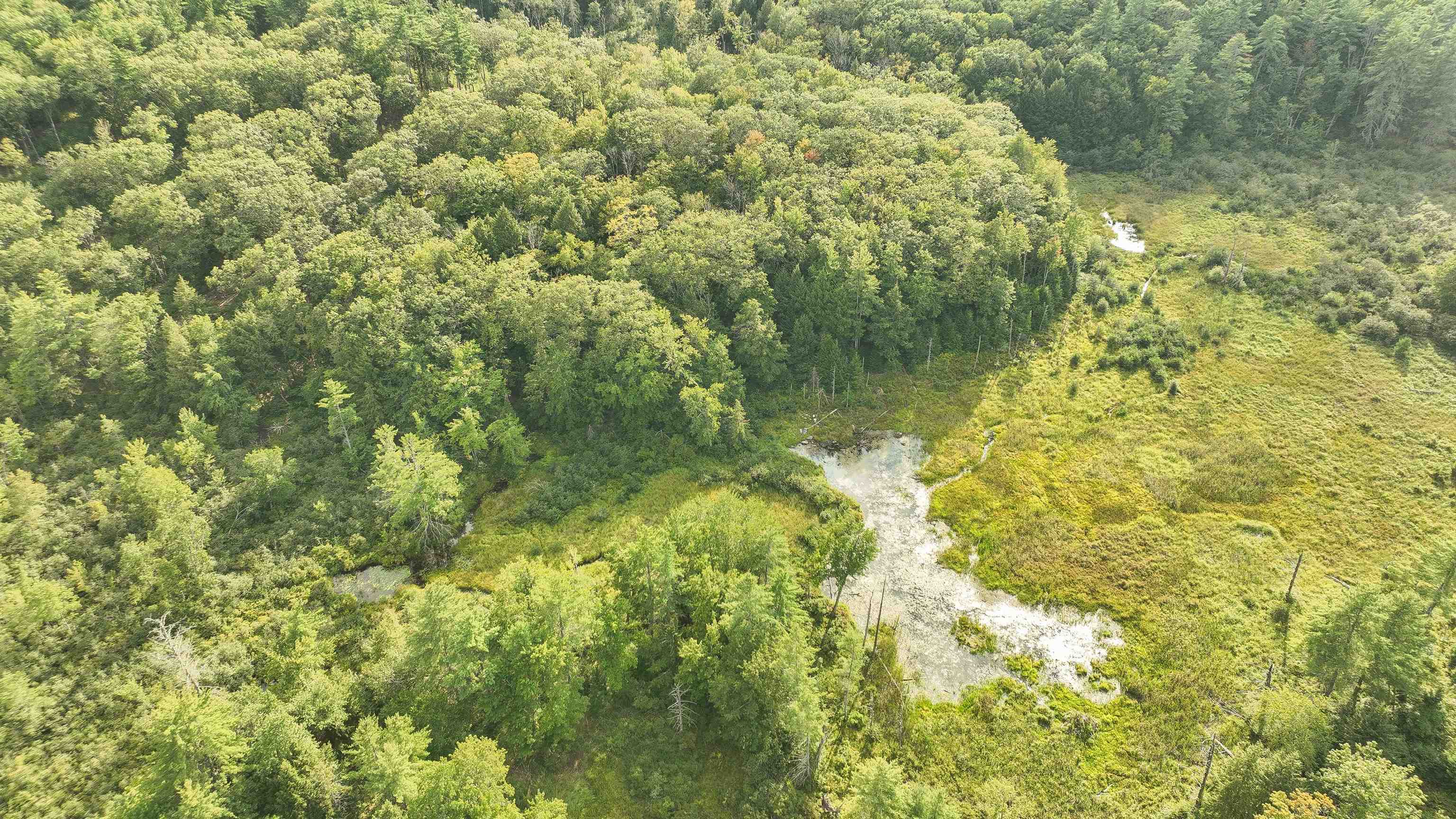 50 Mulhall Farm Road Antrim, NH 03440 - Photo 7 of 28