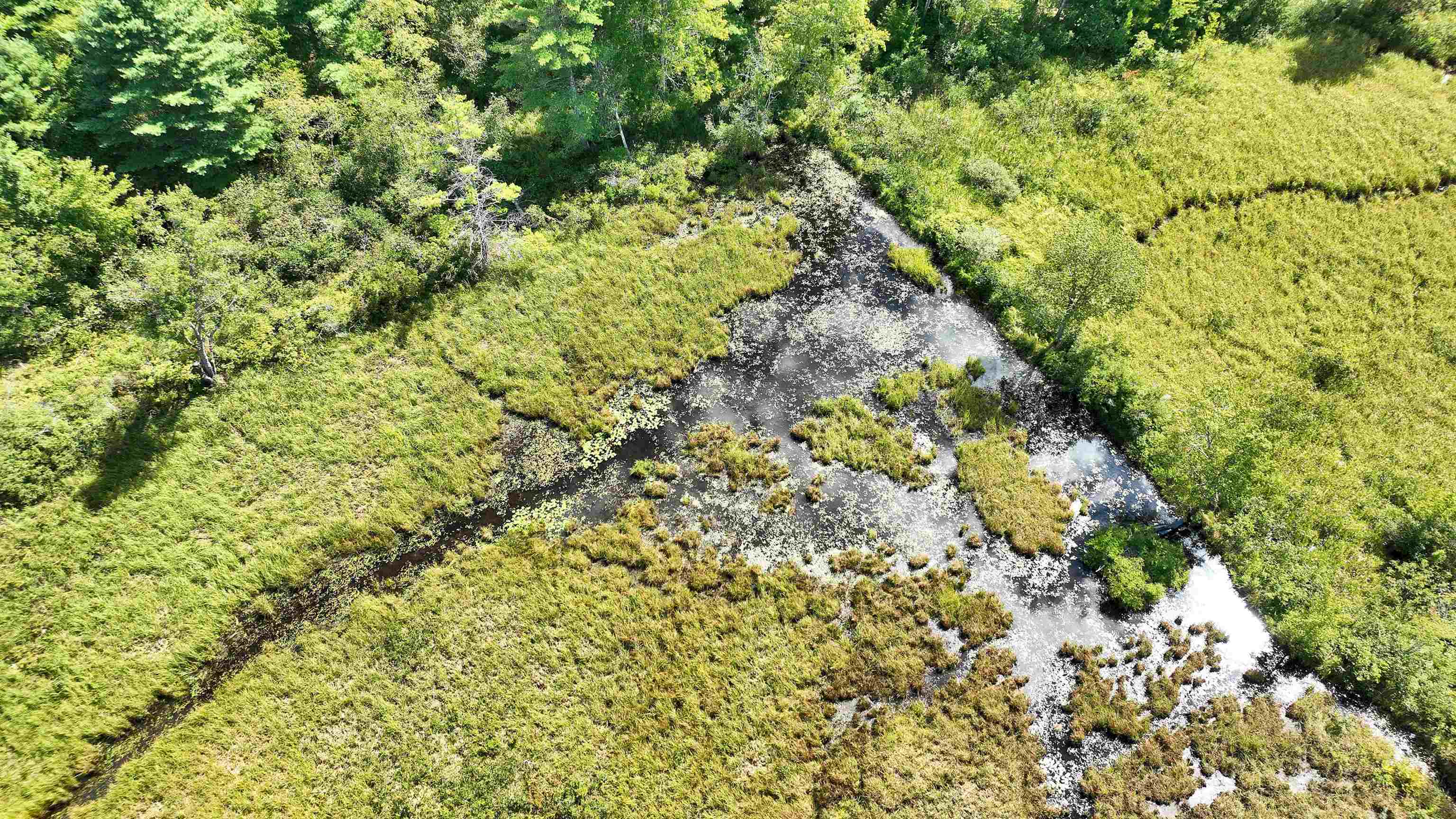 50 Mulhall Farm Road Antrim, NH 03440 - Photo 9 of 28