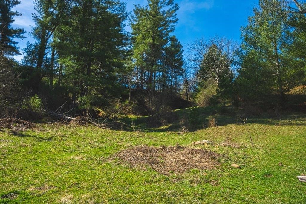 Tbd Weddle Creek Road Northwest Floyd, VA 24091 - Photo 12 of 33 Gallery Image 12