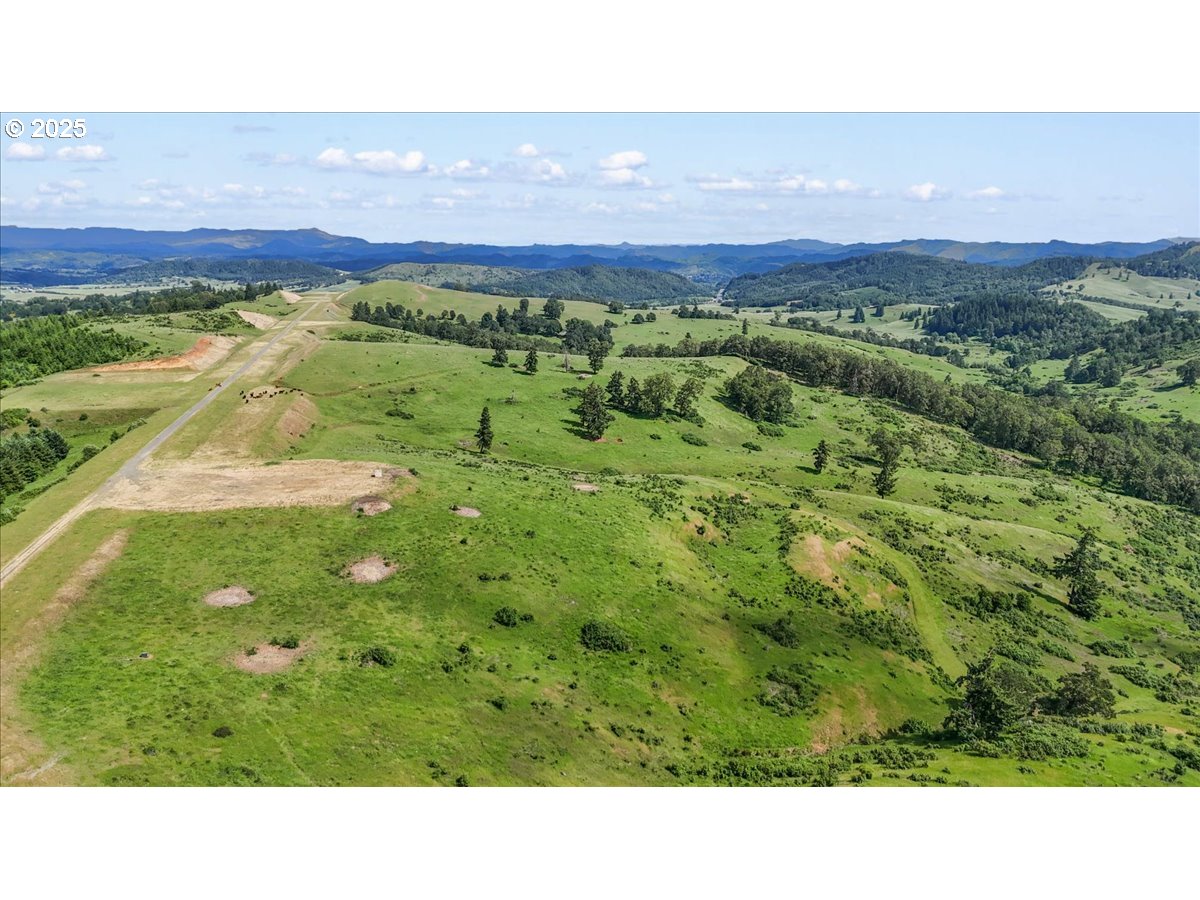 331 Metz Hill Road Oakland, OR 97462 - Photo 12 of 47 a view of an outdoor space and a yard