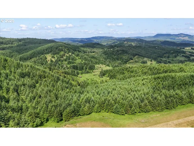 a view of a city with lush green forest