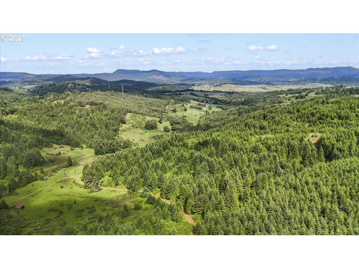 331 Metz Hill Road Oakland, OR 97462 - Photo 14 of 47