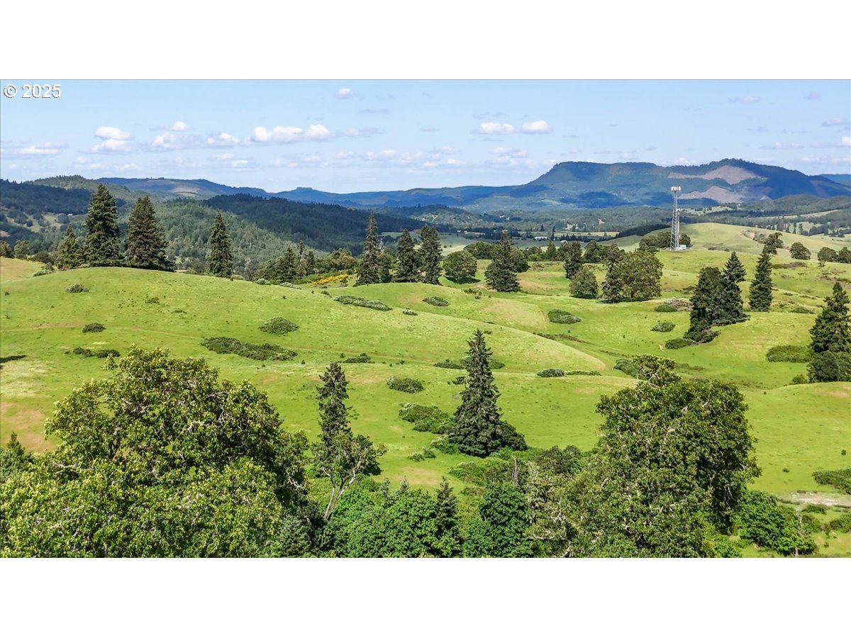 331 Metz Hill Road Oakland, OR 97462 - Photo 15 of 47 a view of an outdoor space and mountain view