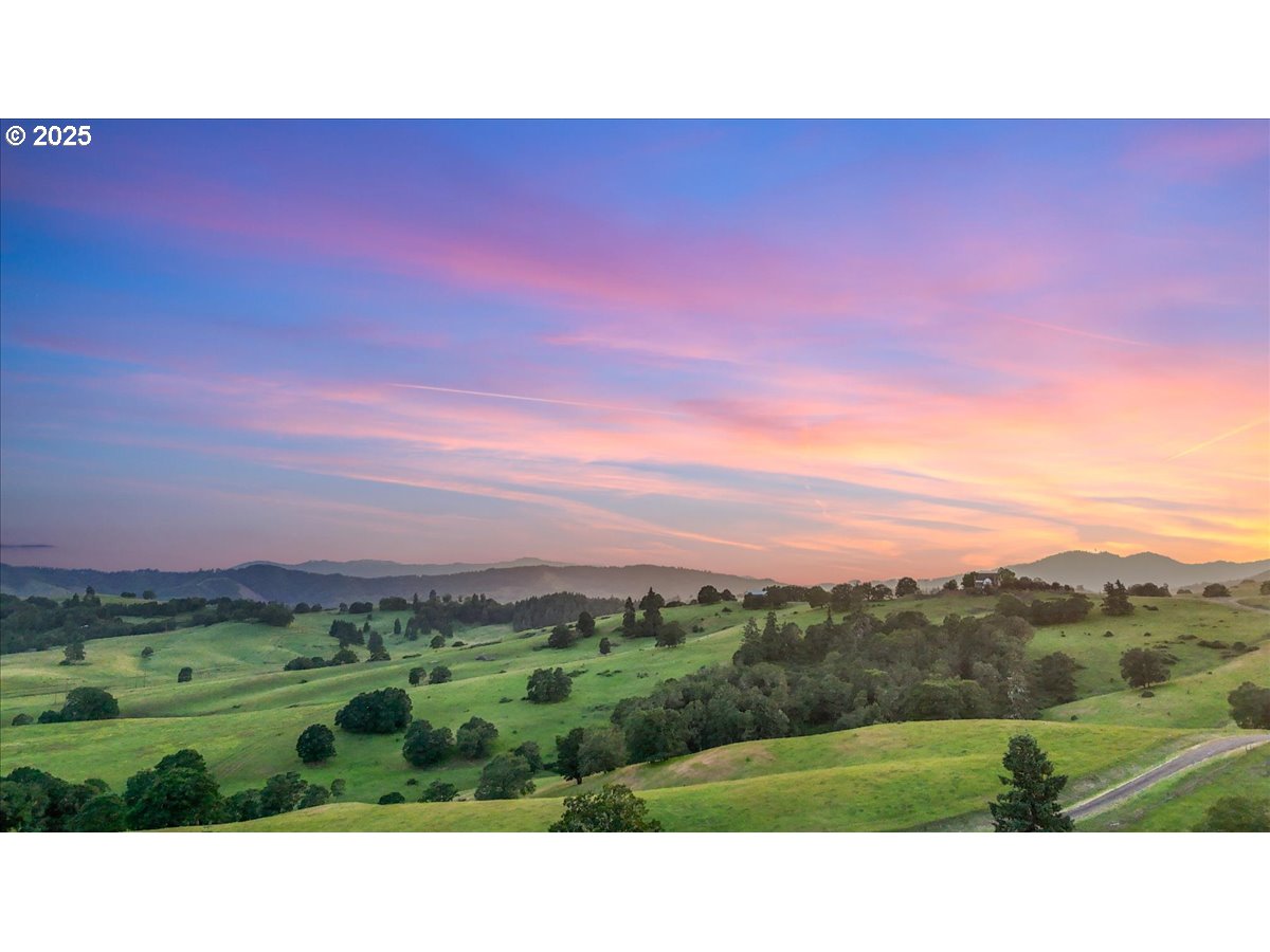 331 Metz Hill Road Oakland, OR 97462 - Photo 16 of 47 a view of a city with lush green forest