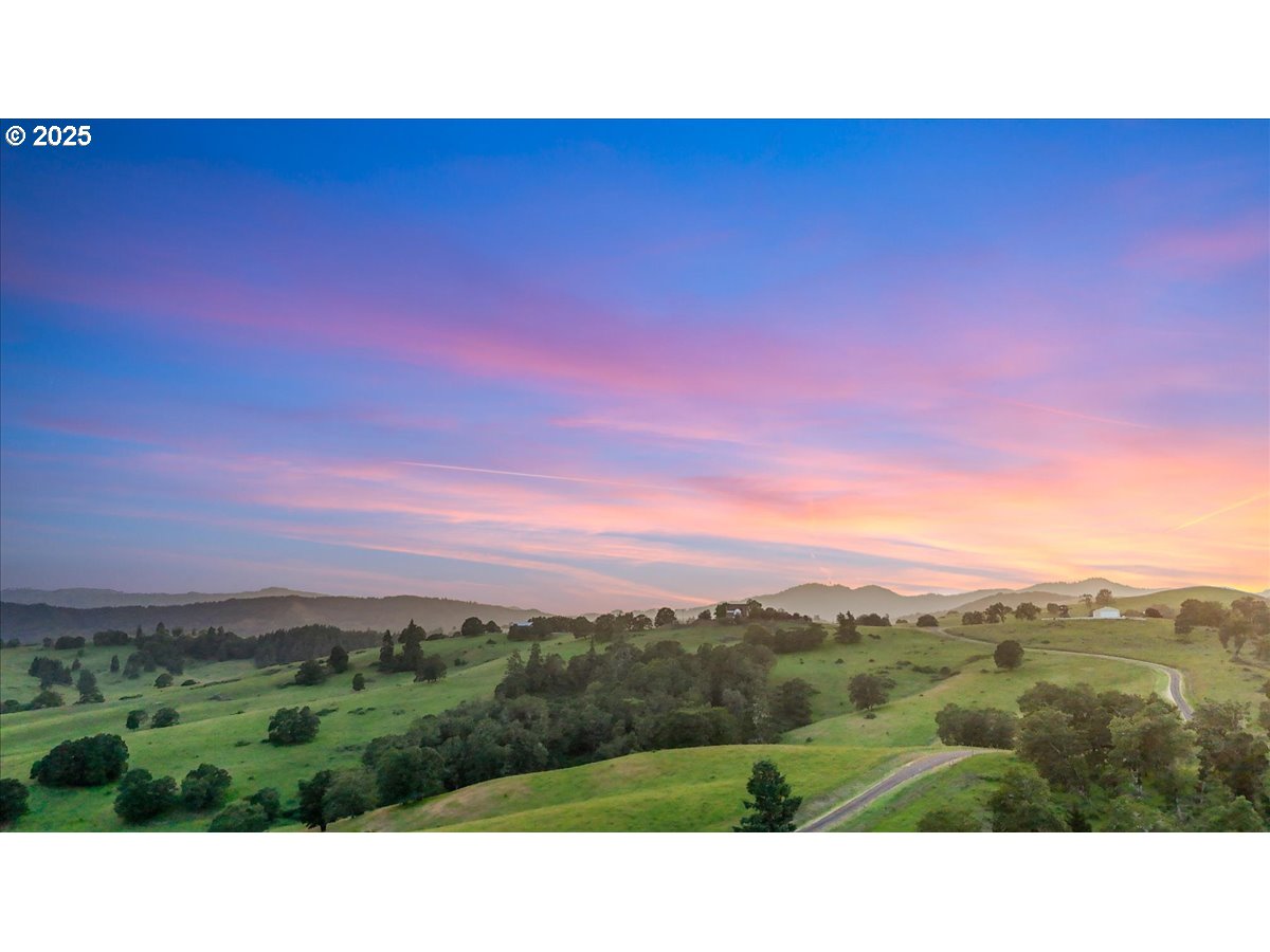 331 Metz Hill Road Oakland, OR 97462 - Photo 17 of 47 a view of a city with lush green forest