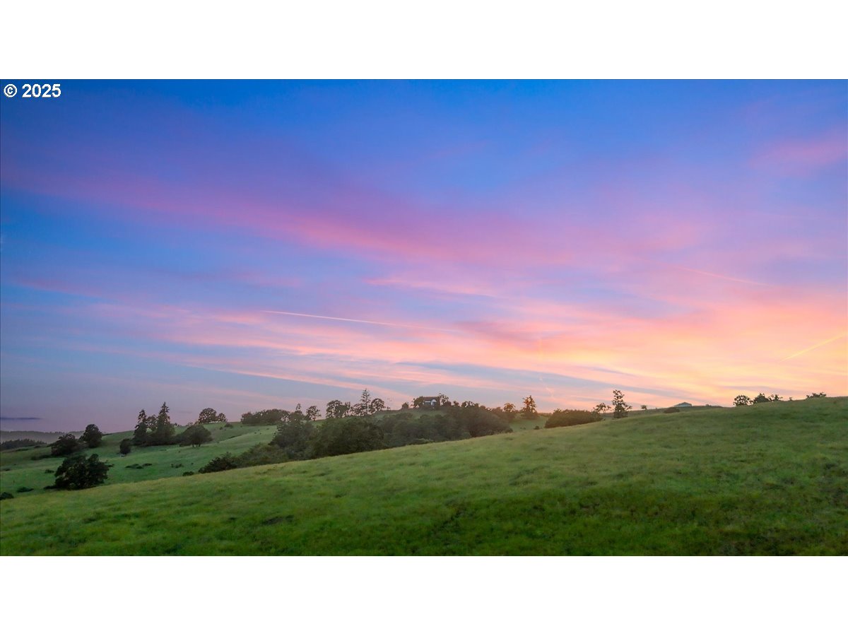 331 Metz Hill Road Oakland, OR 97462 - Photo 18 of 47 a black and white photo of a grassy area