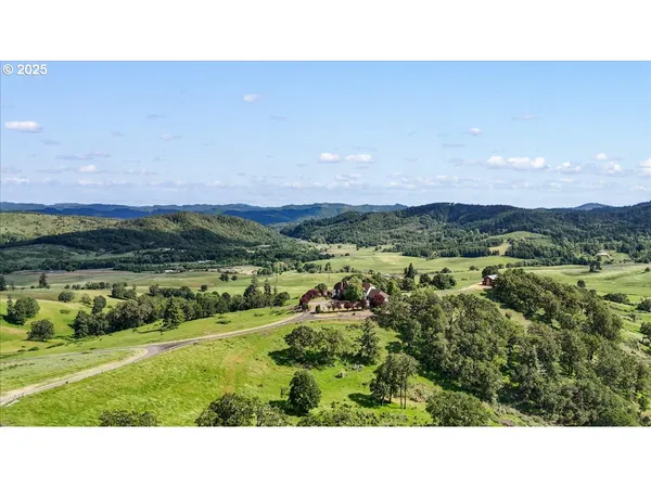 a view of a lush green field