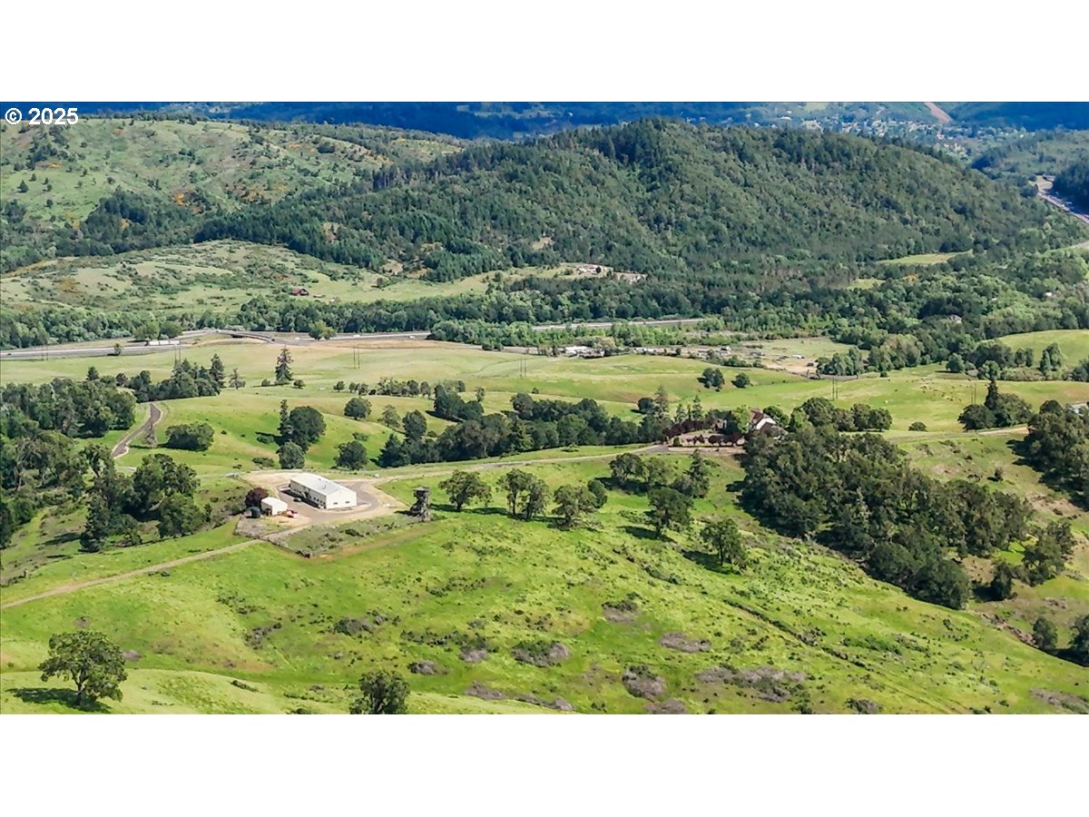 331 Metz Hill Road Oakland, OR 97462 - Photo 4 of 47 a view of a lush green field